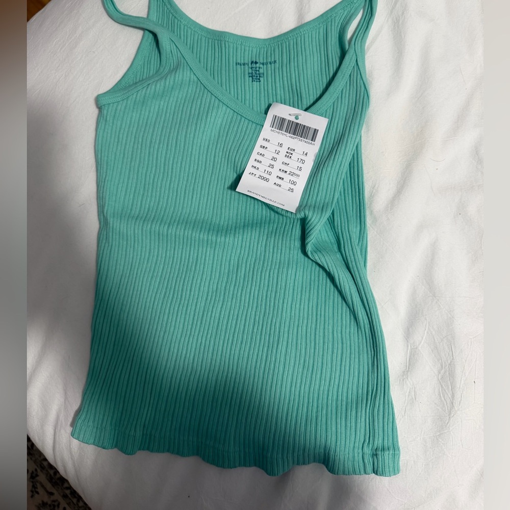 Brandy melville teal tank